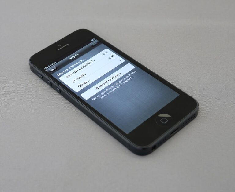 black iPhone 5